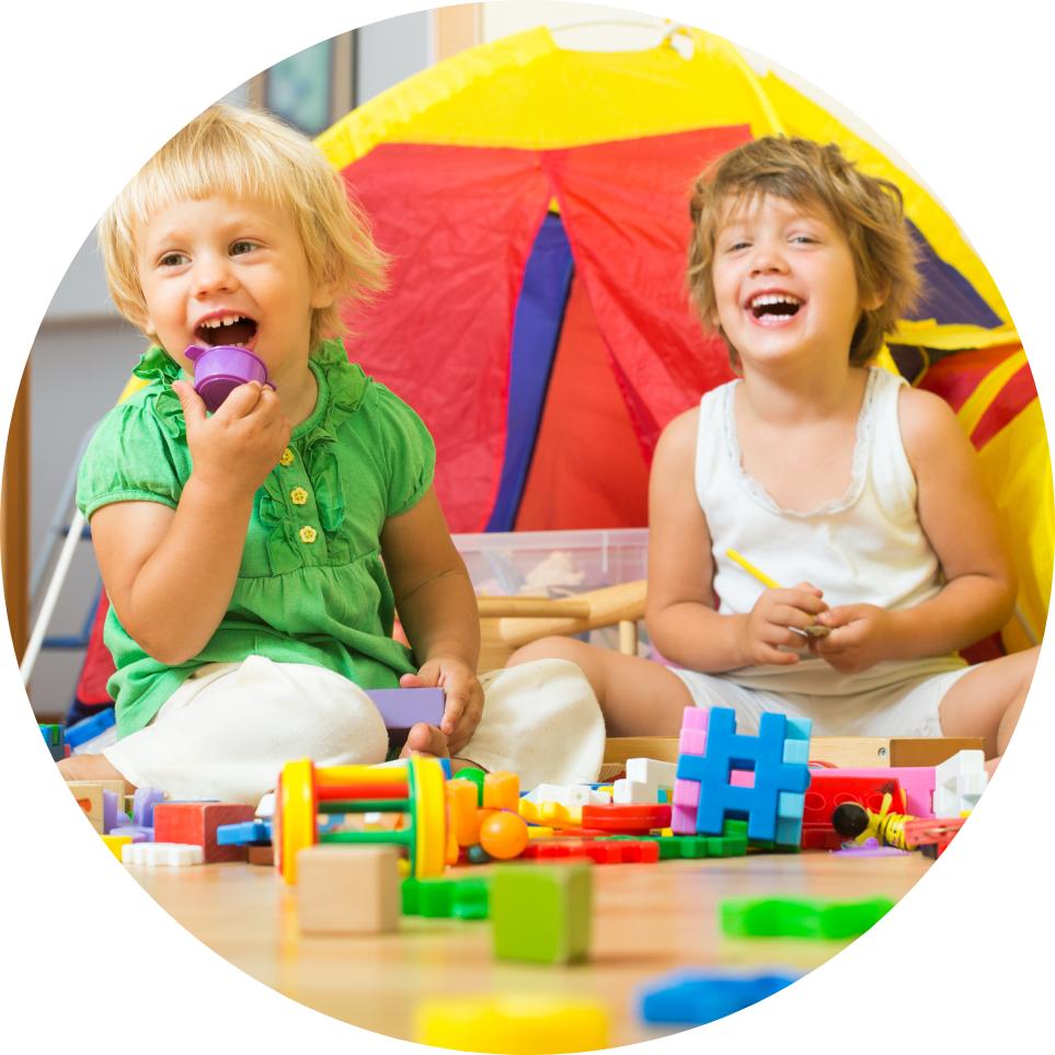Toys & Accessories